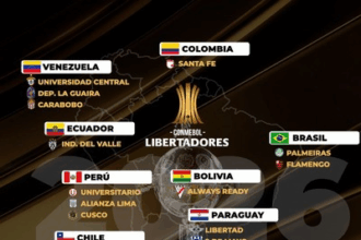 image Un total de 47 clubes de Sudamérica competirán en la próxima edición de la Copa Libertadores. Hasta ahora, estos son los equipos que ya tienen garantizado su lugar en el torneo.