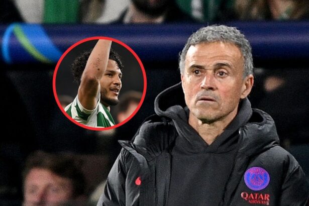 La confesion de Luis Enrique luego de los dos gole El técnico del PSG, Luis Enrique, calificó de decepcionante la efectividad de Luis Suárez tras marcar dos goles que sentenciaron el encuentro europeo.