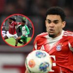 Bayern Munich habria elegido al nuevo companero de El gigante bávaro marca como prioridad la contratación de una figura de los Países Bajos que también está en el radar del Liverpool.