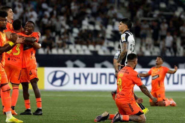 Botafogo vs. Barcelona La fortuna que gano por me Barcelona SC garantiza un importante ingreso económico tras confirmar su presencia en la fase de grupos de la Copa Libertadores 2024.