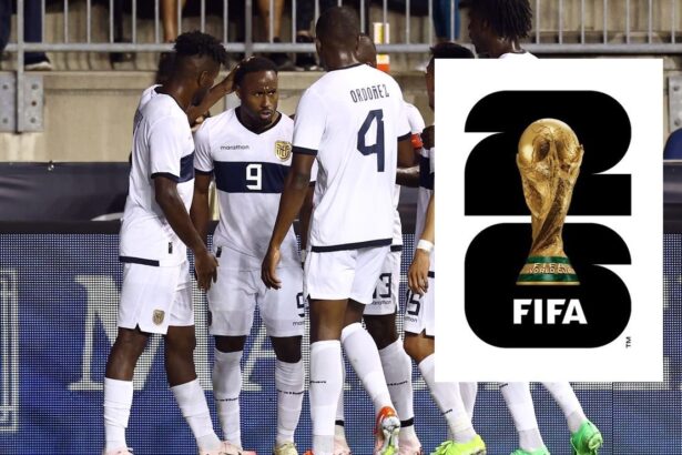 FIFA revisara sancion para jugador de la Seleccion La FIFA analiza la sanción de un integrante clave de la Selección de Ecuador, poniendo en duda su participación en la próxima cita mundialista.