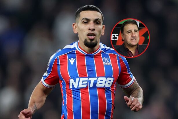 No lo convoca Tras su dura lesion Nestor Lorenzo El DT de Colombia, Néstor Lorenzo, tomó una decisión determinante sobre Daniel Muñoz tras las molestias físicas sufridas en la previa de la convocatoria.