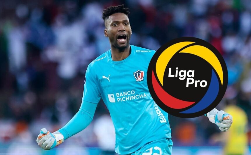 Ponen a Alexander Dominguez en planes de otro club Crecen las especulaciones sobre el futuro de Alexander Domínguez. El histórico portero de Liga de Quito estaría en los planes de otro club ecuatoriano.